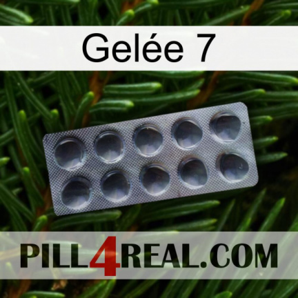 Gelée 7 30